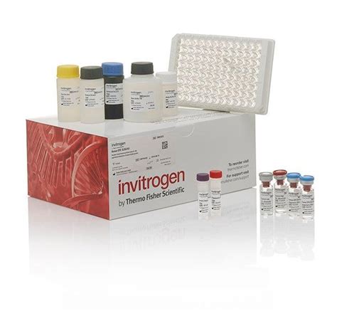 Human Amphiregulin ELISA Kit 